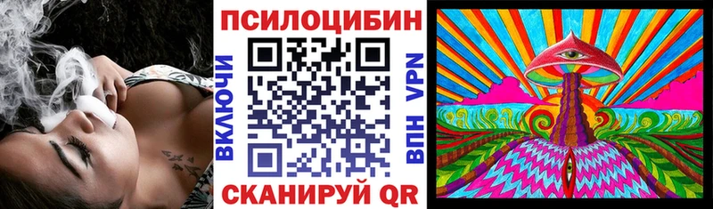 магазин продажи наркотиков  Петровск-Забайкальский  Псилоцибиновые грибы Cubensis 